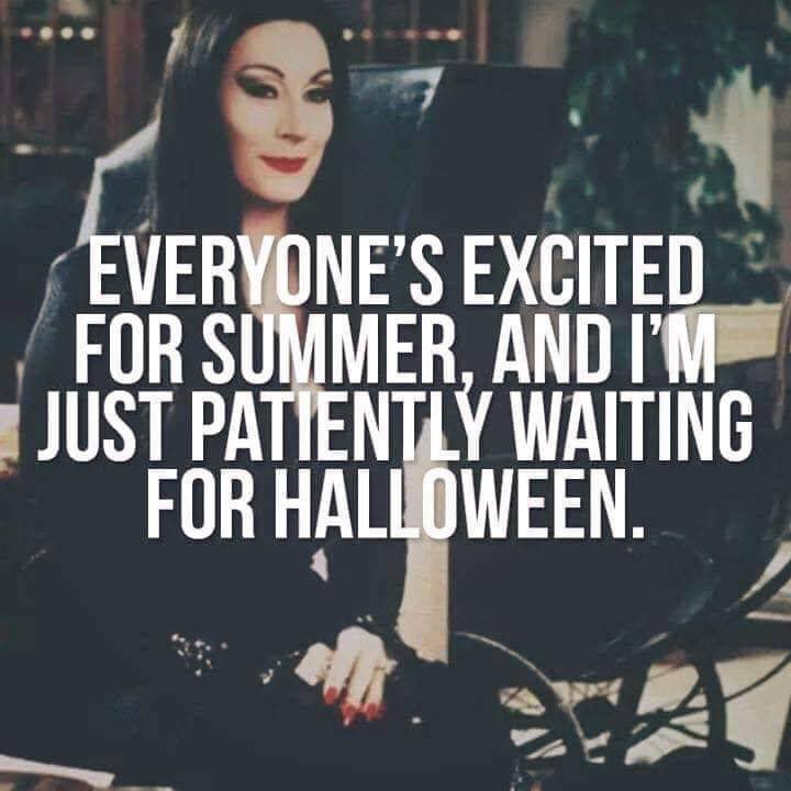 MrsSulloLibrary's tweet photo. I hear you, Morticia 🎃 👻 🤷🏻‍♀️ https://t.co/emBzyd1LQ0