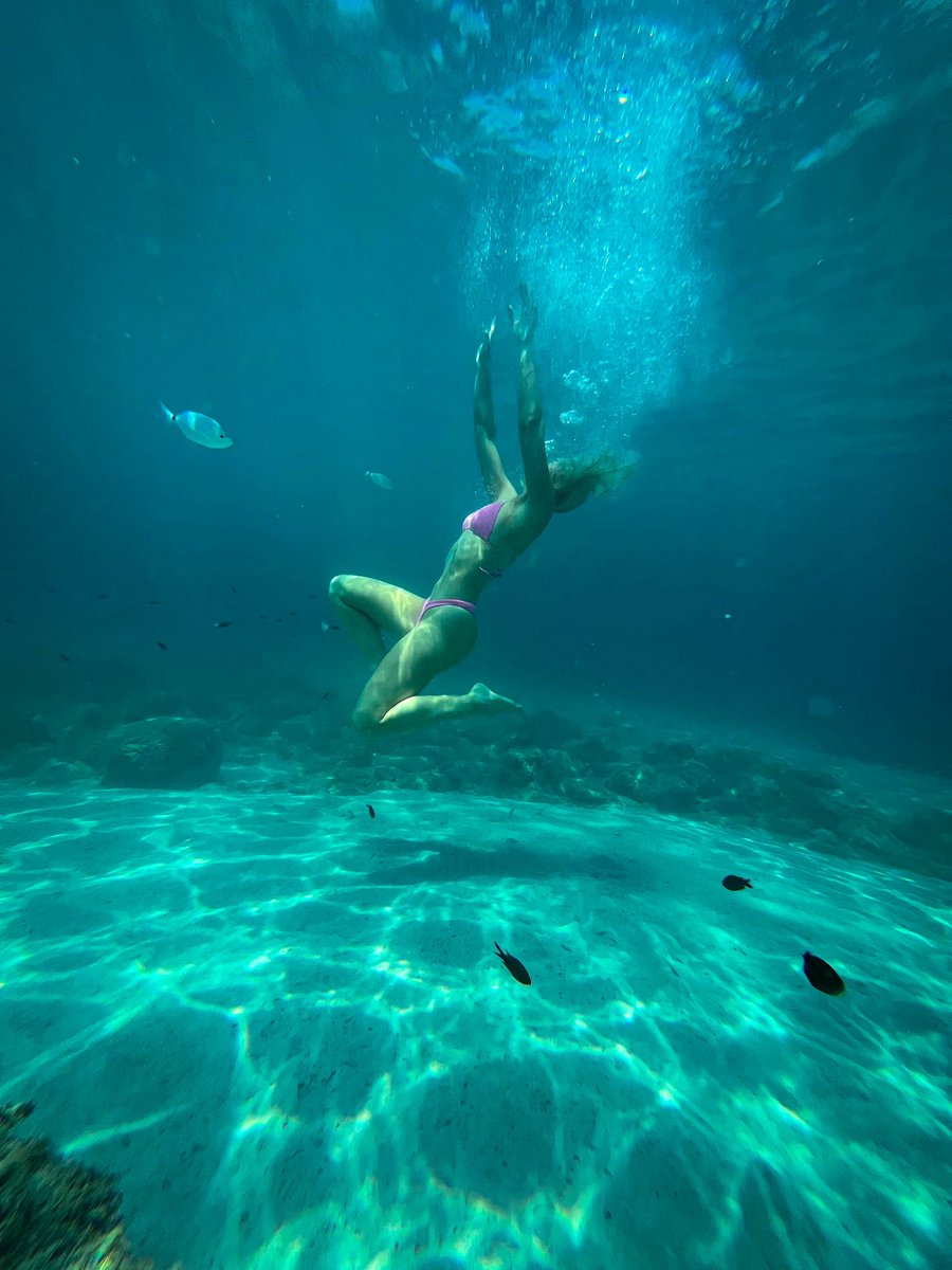 Nina Stojanovic tweet media