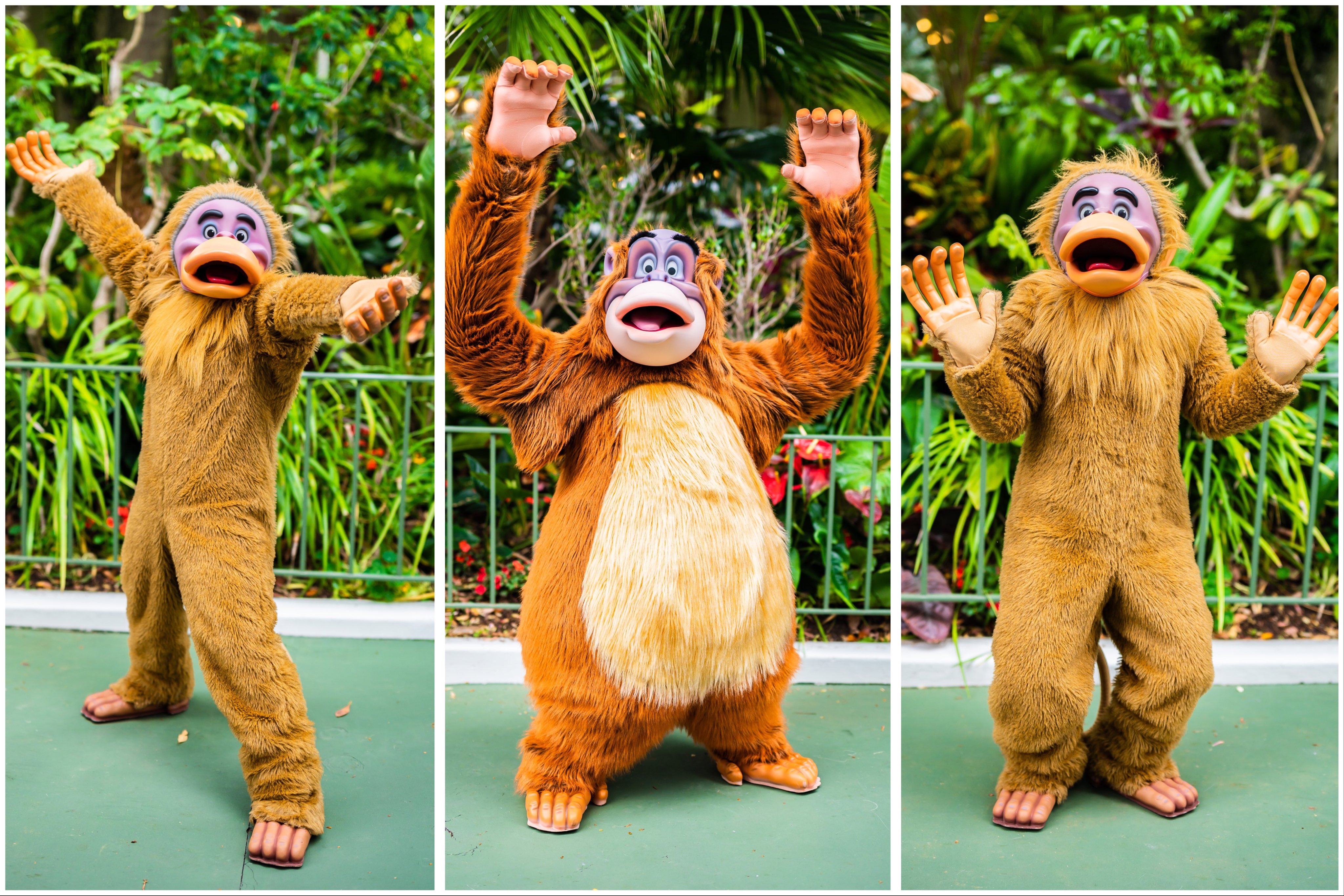 えいちゃん D垢 Disney Passport Twitter