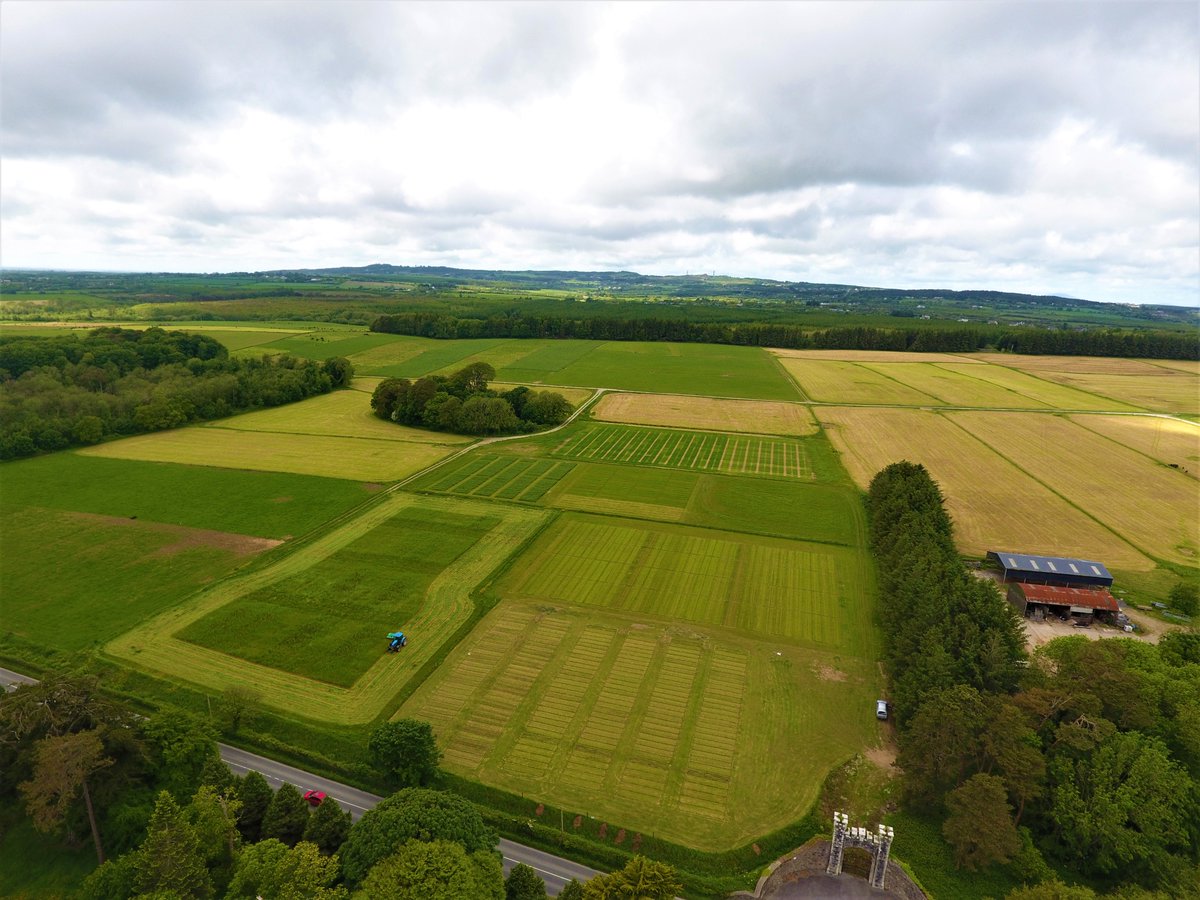 We're hiring!
•Measuring &amp; Modelling Soil Carbon Sequestration &amp; Emissions
•Greenhouse Gas Emissions from Peat Soils 
•Water Catchment Environmental Modeller 
•Carbon Emissions &amp; Sequestration Technologist 
•Soil Carbon Research Technician 
teagasc.ie/about/opportun…