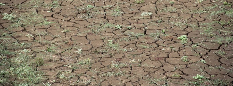 PROLONGATION DE L’ÉTAT DE CRISE JUSQU’AU 31 AOÛT 2022 !
Un nouvel arrêté préfectoral relatif à la situation de sécheresse dans le 06 vient d’entrer en vigueur. Biot reste placée en état de crise #secheresse. Interdiction d'arroser, de laver son véhicule &amp; de remplir les piscines.