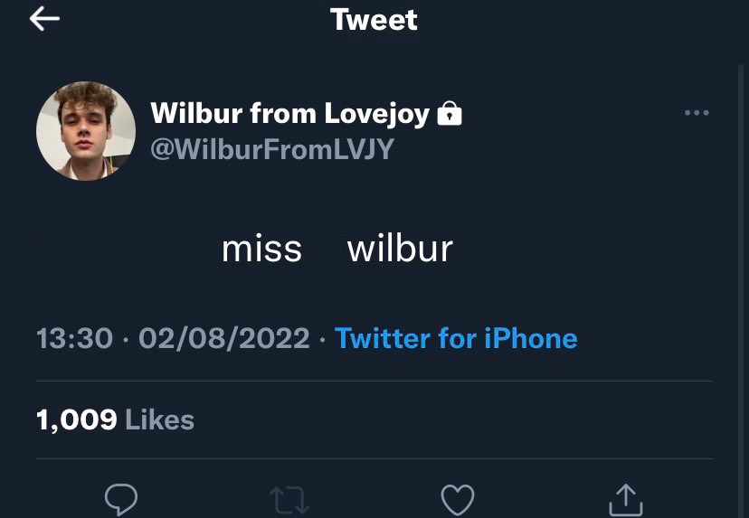 clicherae's tweet photo. when someone wants to formally address c!wilbur https://t.co/9RHKQtpomn