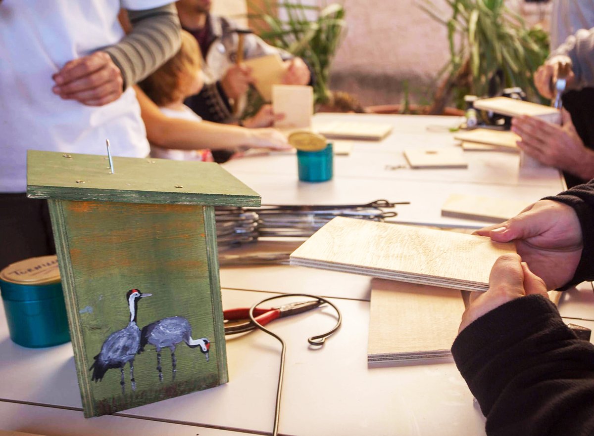 BirdingAragon's tweet photo. 🖌Taller de🦉Cajas Nido en #Castillonroy 
¡¡Te esperamos, inscríbete y participa en una actividad que dará cobijo a las aves que nos visiten!! 
#BirdingAragón:  17 de agosto con @SEO_Aragon y @CEDERORIENTAL1 
Público infantil y familiar
https://t.co/PMeJA0fZQm
📸 Asoc. Tyto https://t.co/7nQntHiGbd