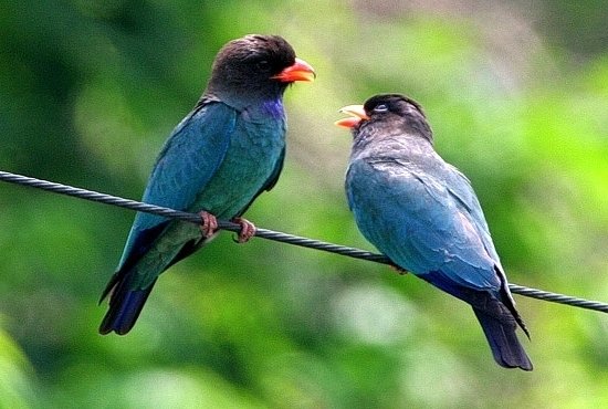산다는 건
누군가에겐 
질리도록 넘쳐나고
또 다른 누군가엔
떨어지는 빗방울처럼
눈물겨운 것이다.