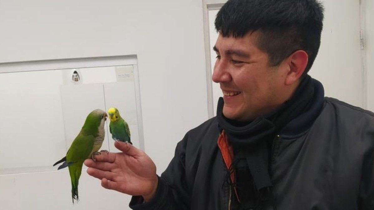SOScotorras's tweet photo. “No dejen de luchar por ellas, les envío toda la fuerza desde Argentina, son originarias de aquí, pero también ahora son de allí, ustedes las llevaron, respétenlas y cuídenlas, es lo mínimo. Además tienen una gran suerte de poder tenerlas en las ciudades”. #seresintientes 🦜💚 https://t.co/80d8BWoCk0