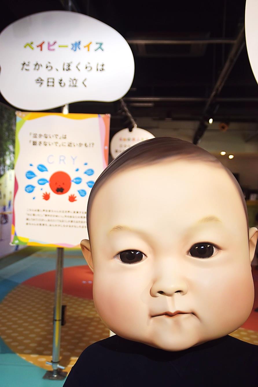 関鉄レールファンclub 公式 子供はなぜ良く転ぶ 乳児の頭の重さは 大人に換算すると約21kg 対比をみれば一目瞭然だ 子供が良く転ぶのも良く分かる 会長も50歳を過ぎて 妙に転びやすくなった 身体が判断に追い付いていない こどもの視展