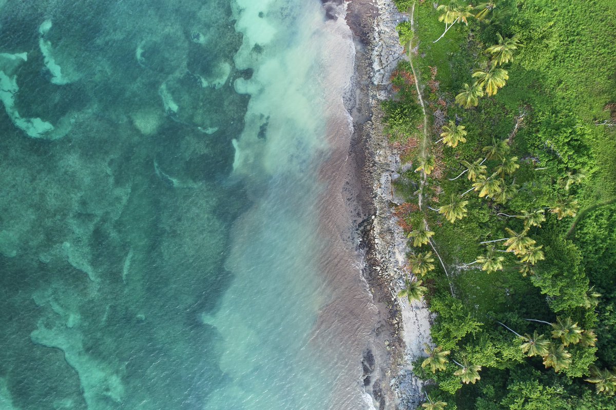 warchiefx's tweet photo. Playa Las Galeras y la Isleta. Han visitado este hermoso lugar?
#dronephotography #dronelove #dronelife #droneshotsrd #dronepals #editwithus #captureonepro #drone #RDPorLoAlto #viverd #lasgaleras #dominicanrepublic #republicadominicana #dji #djiair2s #djiglobal #djiphotography https://t.co/wpRYosAAcY