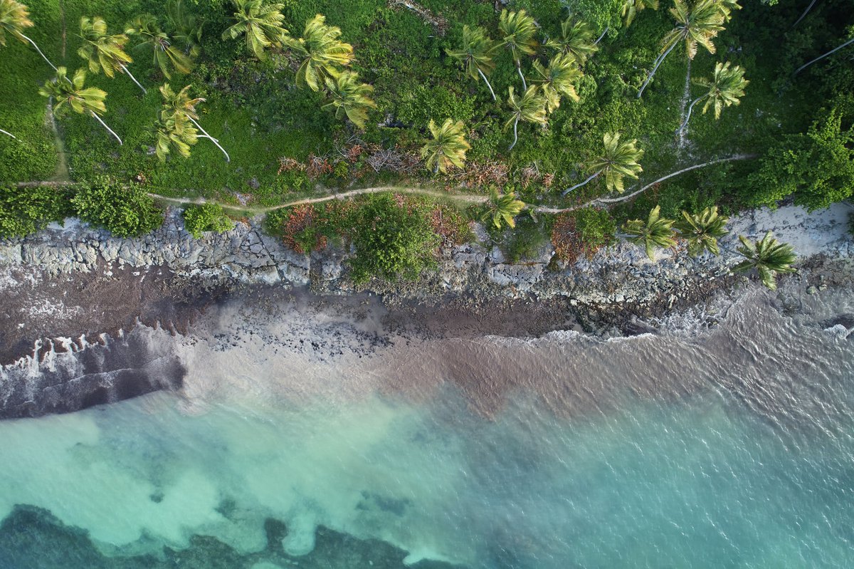 warchiefx's tweet photo. Playa Las Galeras y la Isleta. Han visitado este hermoso lugar?
#dronephotography #dronelove #dronelife #droneshotsrd #dronepals #editwithus #captureonepro #drone #RDPorLoAlto #viverd #lasgaleras #dominicanrepublic #republicadominicana #dji #djiair2s #djiglobal #djiphotography https://t.co/wpRYosAAcY