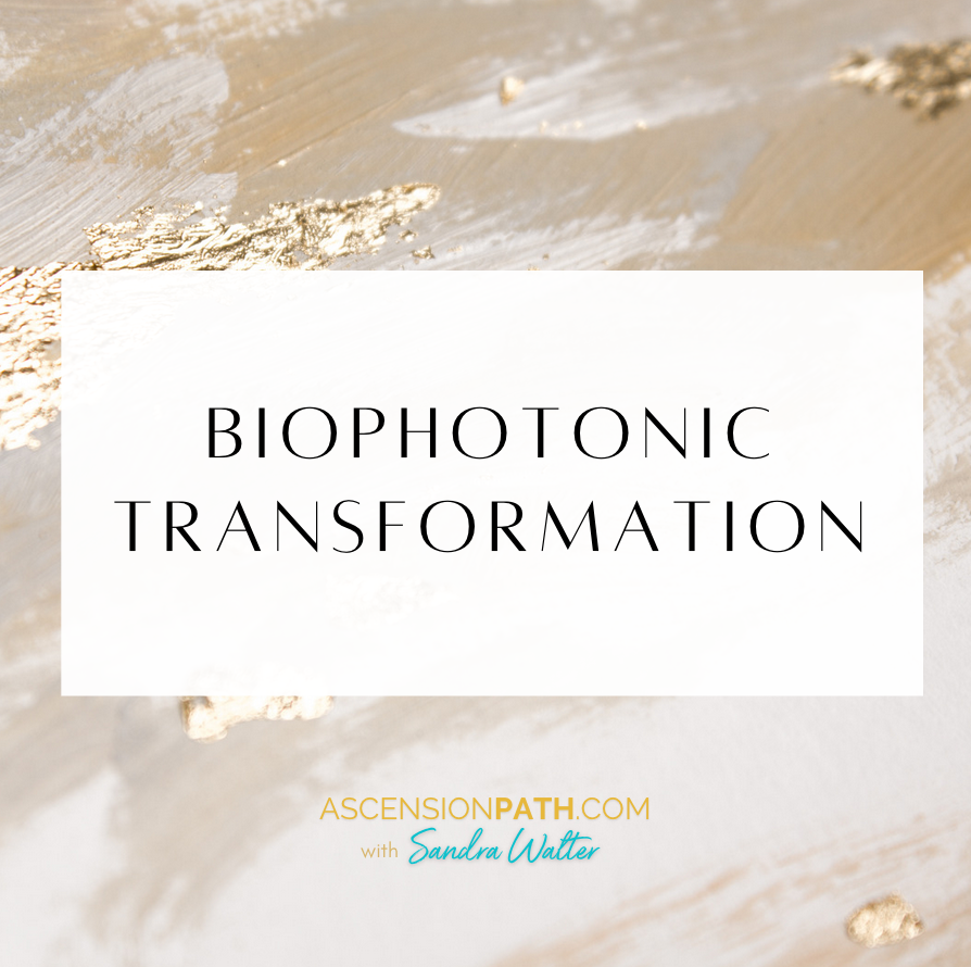 Sandra Walter tweet media