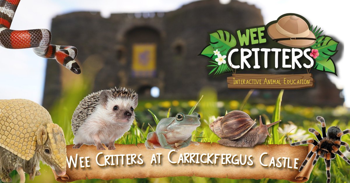 loveheritageNI's tweet image. Join Allan the Explorer and his family of Wee Critters at Carrickfergus Castle next Sunday 14th August, as he takes you on a wild adventure to learn all about the marvellous world of minibeasts!
For bookings contact 028 9335 1273. 
#LoveHeritageNI #WeeCritters #EventsNI