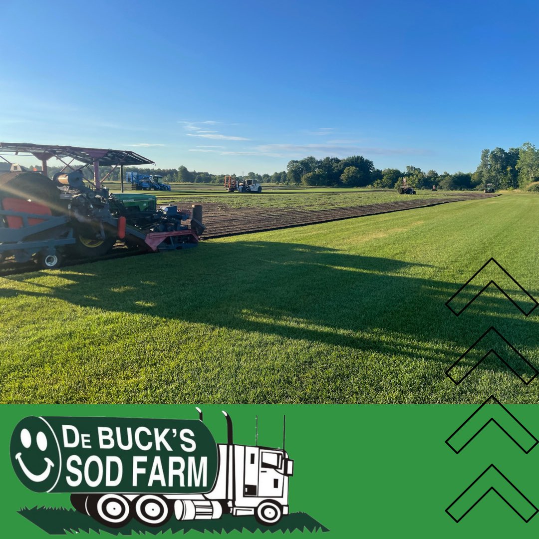 DeBuckSodFarm's tweet photo. Photo features 3 different harvesters developed within the industry by 3 different companies. All great machines; lucky to have all the different options! Cheers to the grit, determination, and ingenuity of farmers!
#thankafarmer #sodharvest2022 #brouwer #trebro #fireflyautomatix https://t.co/KaJ5V3Yvh9