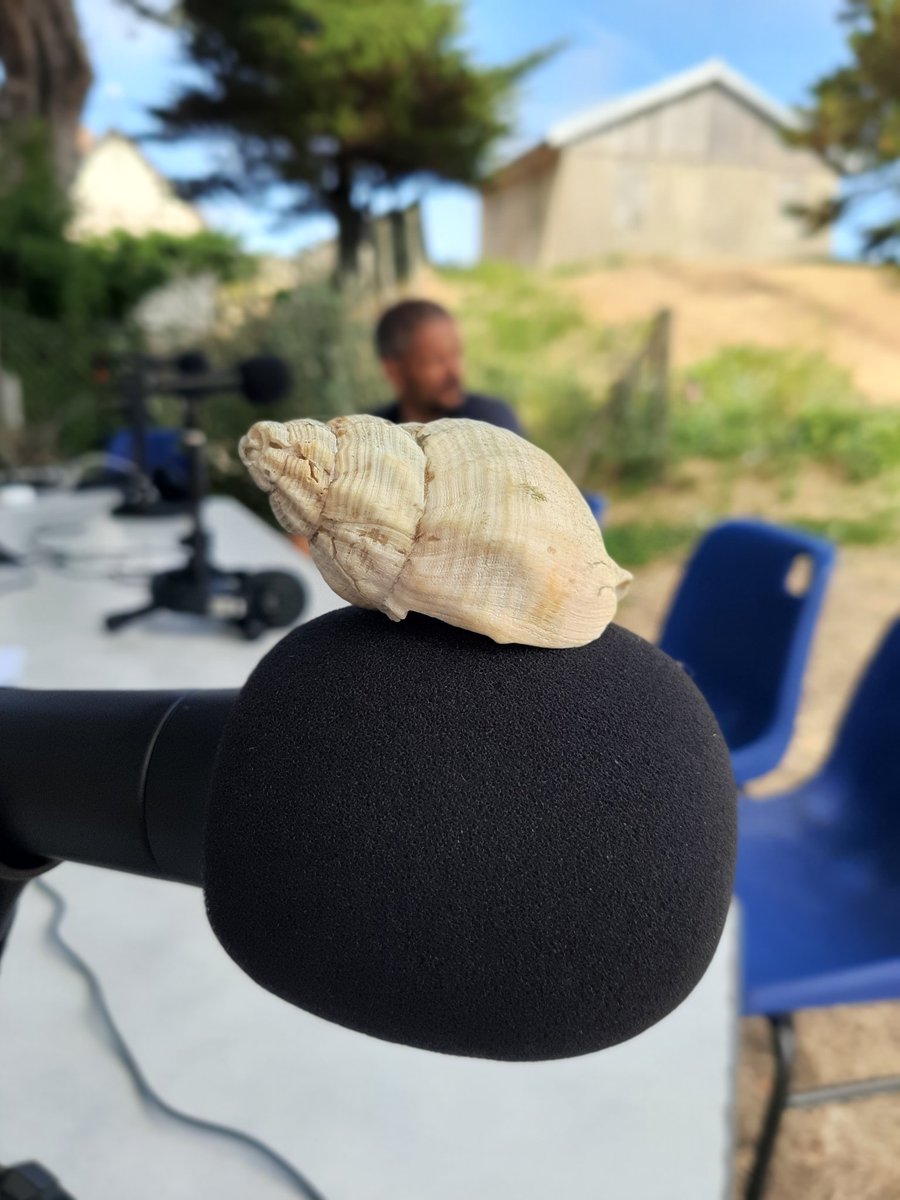 helenepaumier's tweet photo. #RadioBulot : un concept dingue ! https://t.co/SGPI1VcHtJ