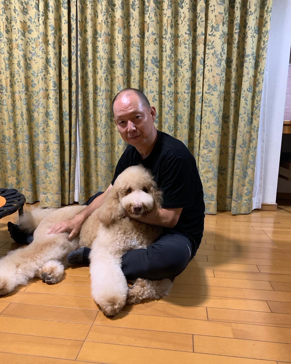 アムール君
サマーカットして来たワン
一見おとなしいそうに見えてますが
相変わらずヤンチャ君です
#オーストラリアンラブラドゥードル