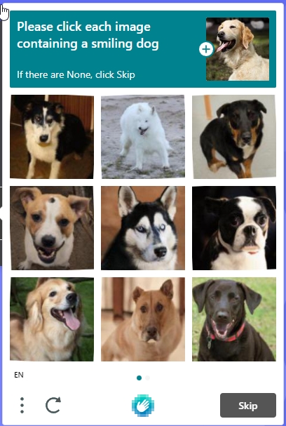 The best reCAPTCHA I've had to date.
