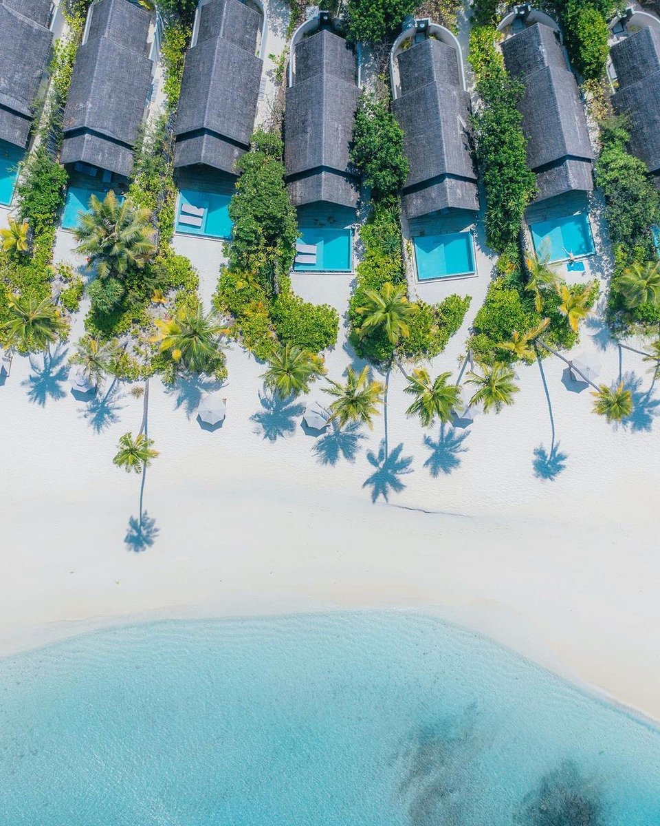 Picture perfect shades of the Maldives 🌴🥥
.
.
DM/ WhatsApp/ Email for best deal!
.
.
📸: <a href="/henry/">@henry</a>.nathan 
.
.
.
#welcome #ansamatravel #maldivesislands #seaplane #shadesofblue #ocean #pictureperfect #beachvilla #lhaviyaniatoll #palmtrees #paradise #heavenfound #honeymoon