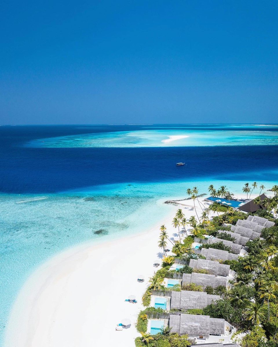 AnsamaTravel's tweet photo. Picture perfect shades of the Maldives 🌴🥥
.
.
DM/ WhatsApp/ Email for best deal!
.
.
📸: @henry.nathan 
.
.
.
#welcome #ansamatravel #maldivesislands #seaplane #shadesofblue #ocean #pictureperfect #beachvilla #lhaviyaniatoll #palmtrees #paradise #heavenfound #honeymoon https://t.co/8l7FZy5dWE
