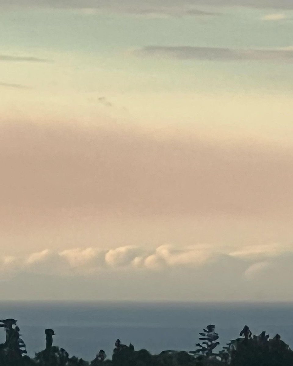 i88san's tweet photo. minghao takes the prettiest photos ever https://t.co/kgU3X3PMpc