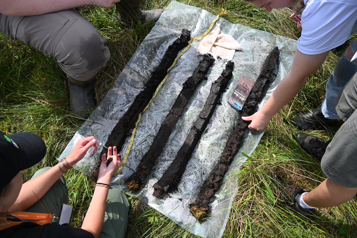 Scottish soils from practice sites around Stirling - we saw spodosols, histosols, mollisols, and lots of inceptisols @WorldSoils2022