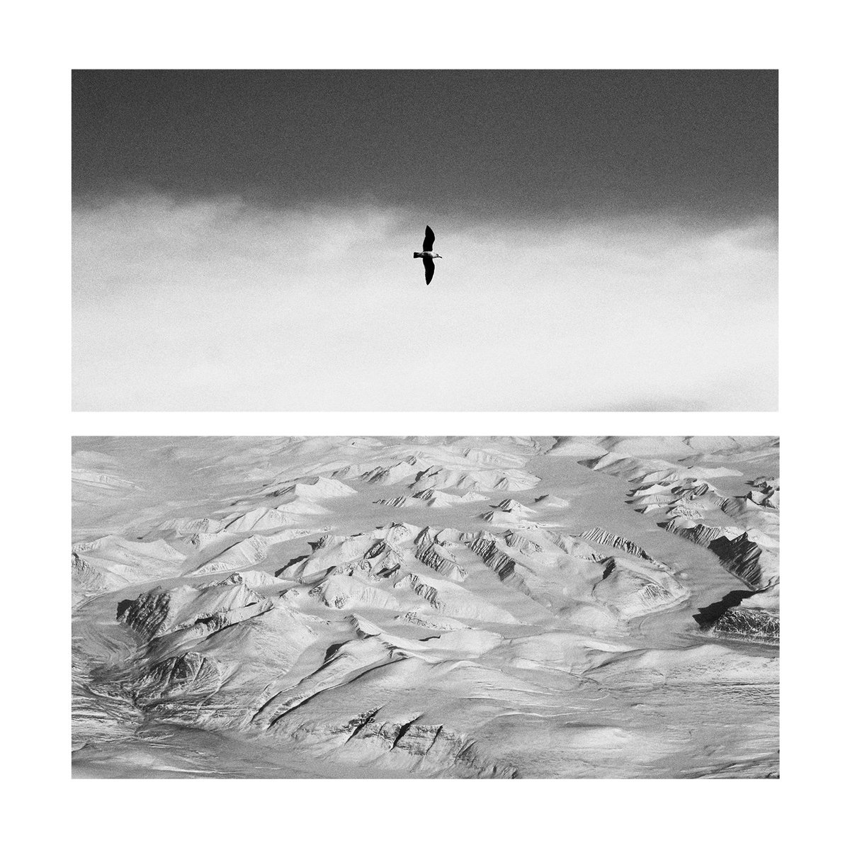 "Untouched" for <a href="/Tezos4Nature/">Tezos 4 Nature</a>

▫️10 copies already collected
▫️2 xtz

#tezos #Tezos4Nature