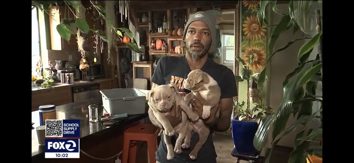 henrykleeKTVU's tweet photo. “They’re supposed to be saving lives, not shooting up your car.” Off-duty #SFFire firefighter Bryon Pointer arrested by @oaklandpoliceca for allegedly firing shots at Michael Johnson during financial dispute over breeding puppies, grazing him, @AmberKTVU reports. $270K bail https://t.co/K58GVAekj7