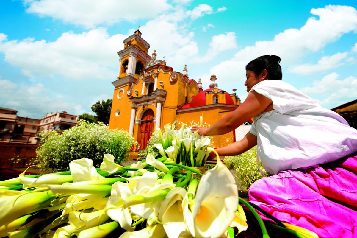 TorrucoTurismo's tweet photo. Buen día a todas y todos, hoy visitaré el hermoso puerto de #Veracruz, invitado por el secretario de @SECTUR_Veracruz, @ivanmtzolvera, vamos a participar en la entrega de Certificaciones Turísticas a Prestadores de Servicios del estado de #Veracruz. https://t.co/hKeCv1mI5J
