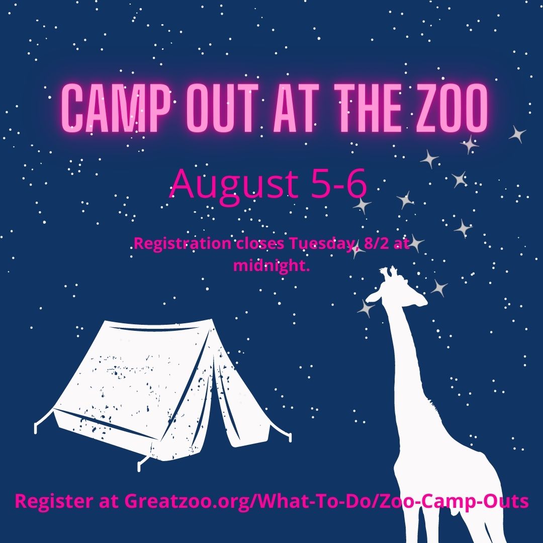 This one is for grown-ups only! 

Want to camp at the zoo this weekend? Registration closes at midnight! 

Visit ow.ly/qGHE50K9uXY to get registered! 

#SiouxFalls #Zoo #GPZoo #CampOut #Camping #AfterHours