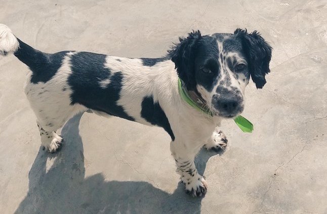 Nadie merece tener menos de 100,000 seguidores.

Deja tu usuario y te seguimos. 💯 🔥