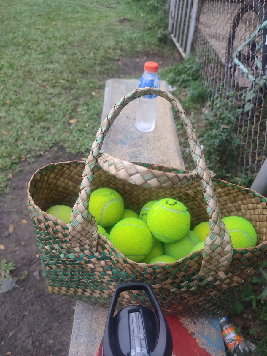 efiram0210's tweet photo. Feeding time 🎾🎾 https://t.co/bzn7iDvV5x