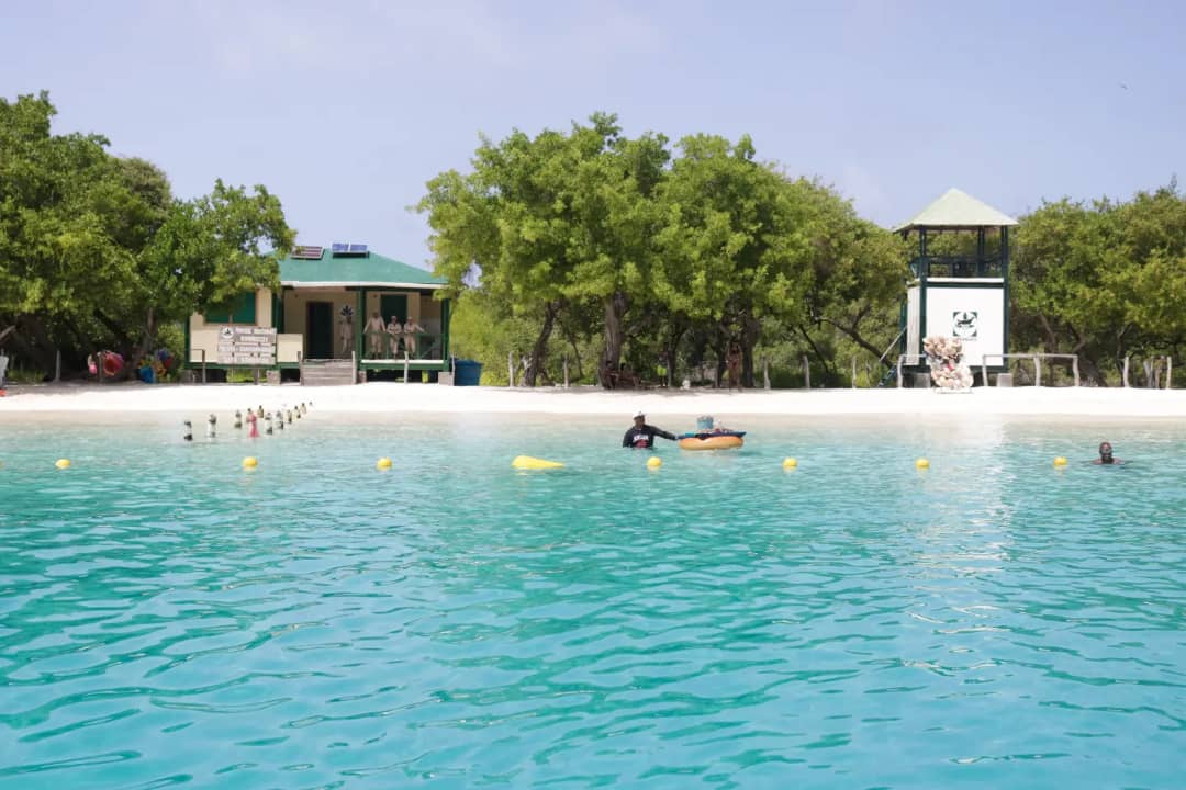 Garantizando la seguridad de todos los que visiten el Parque Nacional Morrocoy realizamos la instalación de 50 boyas hechas con material de reciclaje para el área de bañistas en Cayo Sombrero y próximamente se colocarán en todos los demás cayos. <a href="/NicolasMaduro/">Nicolás Maduro</a> <a href="/delcyrodriguezv/">Delcy Rodríguez</a>