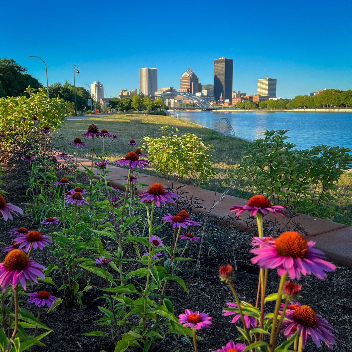 rochester's tweet photo. This is #ROC 🌺🏙 #thisisroc 📸: @CityRochesterNY 💕 @VisitRochester @I_LOVE_NY https://t.co/wu5CvdP0wH