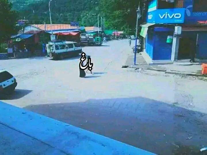 AzharRasheed_'s tweet photo. We the People of Resistance, We will Resist 🚩
Complete shutter down in poonch division POJK. 
#AJKRightsmovement https://t.co/RCDvXZeOLB
