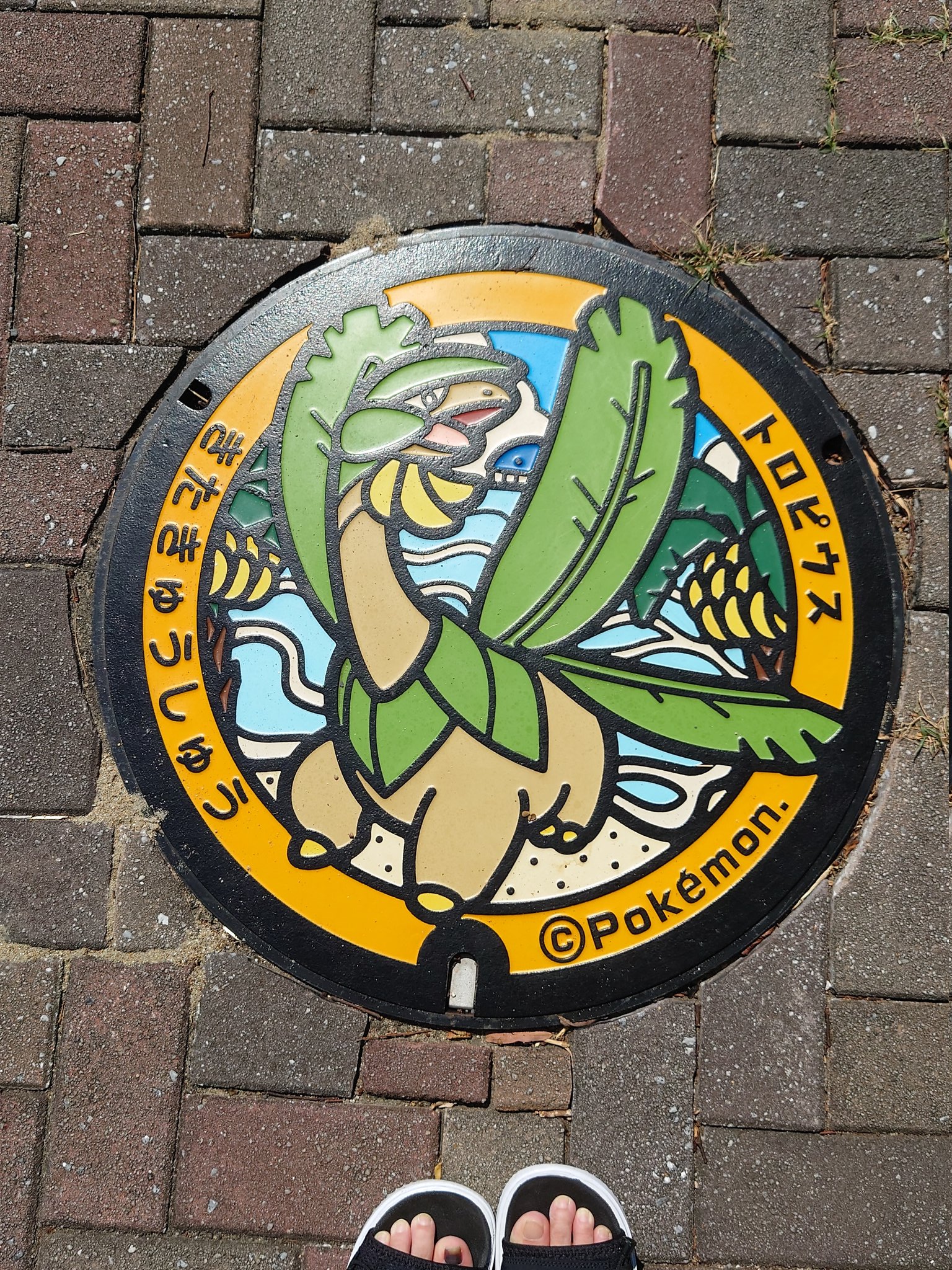 爬虫類沼に けてく くまさん いけ 俺のポケモン からの メロンパフェは至福です トロピウスのうしろはホエルコかな ホエルオー エメラルドのときホエルオー可愛くてメンバーに入れてた はぁ イーブイが見たい W 指宿行きの切符