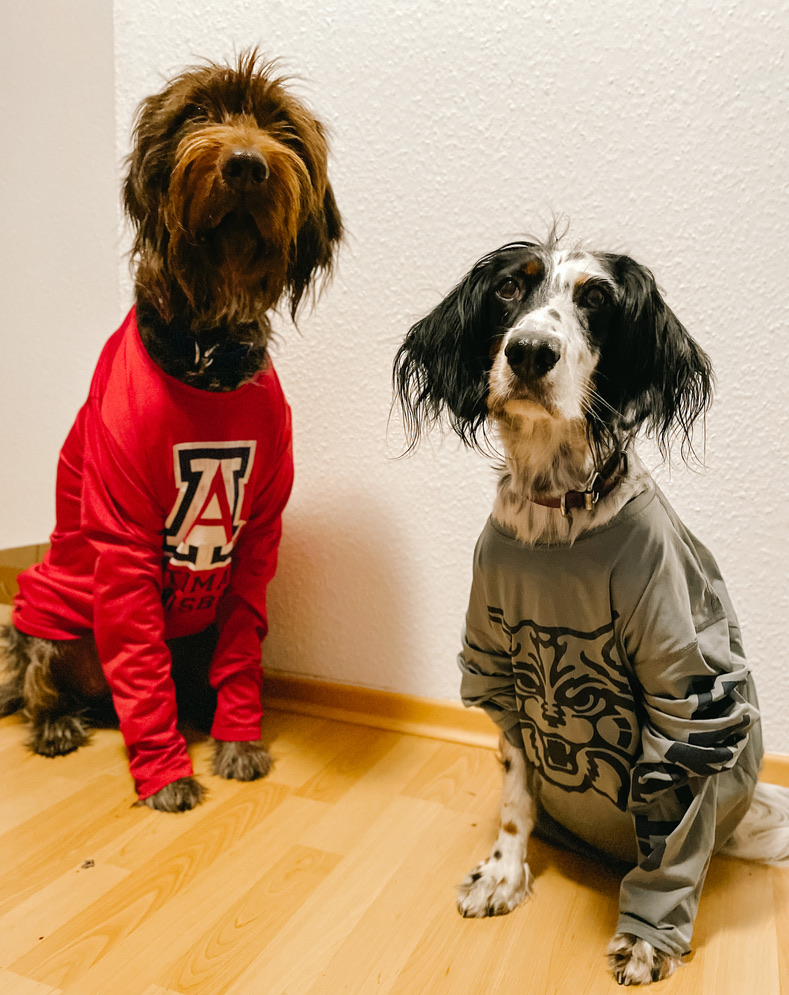 Jessi Rick (@jessi_rick) on Twitter photo Now that it's official, I'm excited to share that I'll be starting as an Assistant Prof in <a href="/UASNRE/">UA School of Natural Resources and the Environment</a> @UArizonaCALS in Fall 2023! I'm excited to be headed back to Tucson and to be joining an incredible group of scientists and colleagues as part of the Wildlife faculty. Now that it's official, I'm excited to share that I'll be starting as an Assistant Prof in <a href="/UASNRE/">UA School of Natural Resources and the Environment</a> @UArizonaCALS in Fall 2023! I'm excited to be headed back to Tucson and to be joining an incredible group of scientists and colleagues as part of the Wildlife faculty.