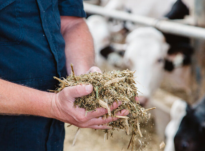 Lactanet_Canada's tweet photo. UPDATE: Lactanet geneticists are working to include second lactation data to Feed Efficiency evaluations and incorporate it into LPI and Pro$. These changes will now come into effect at the December 2022 release instead of August 2022: https://t.co/f60ScI5or4 https://t.co/OHlHjMlAvz