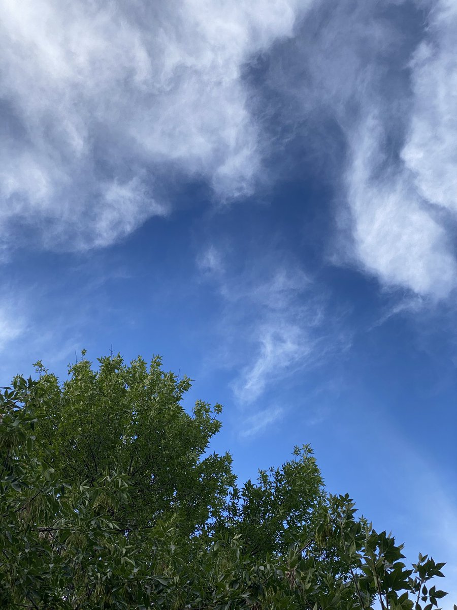 d_isomiddinova's tweet photo. Бошладик.
#blueskychallenge https://t.co/9tDqAdd5Dw