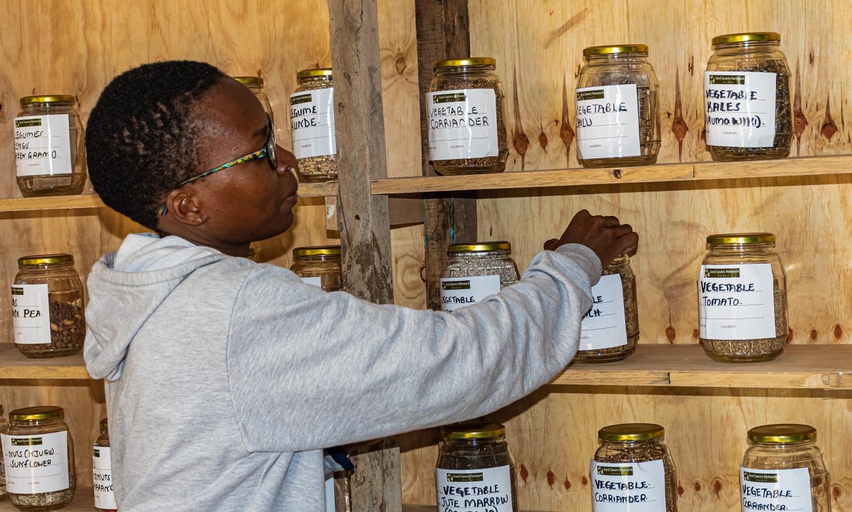 Greenpeaceafric's tweet photo. "Food sovereignty means producing food using culturally appropriate methods. These are not methods that are forced upon farming communities." - @MissNasike >> https://t.co/rKJVFbZuHw
#SeedIsSovereign >> https://t.co/ZQzNzgQGEk
.@theelephantinfo https://t.co/BdSZtjPF0X