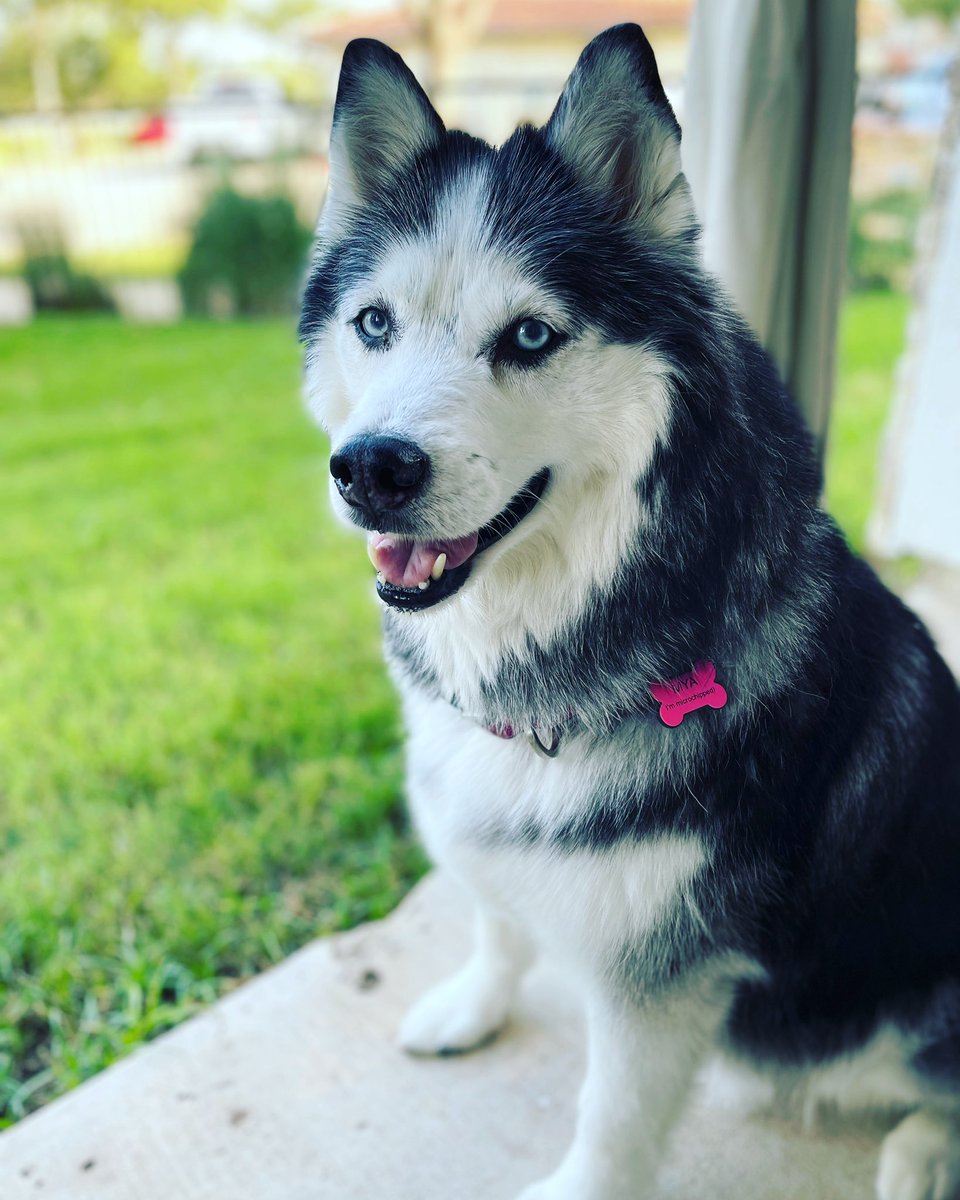 Lisa Stucker tweet media