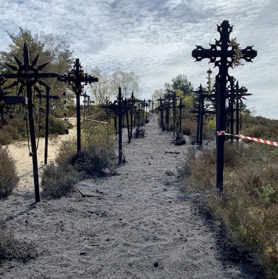 Sandman News tweet media