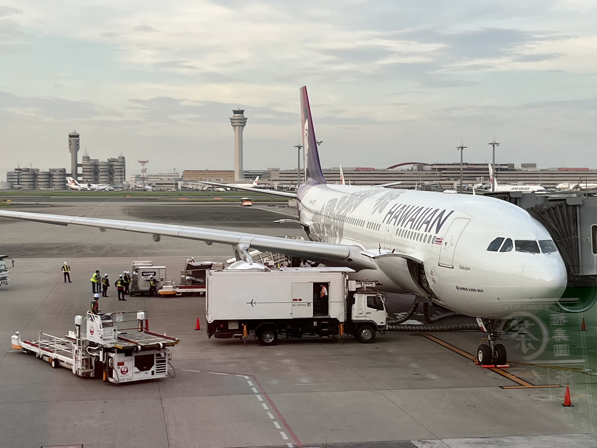 ハワイアン航空 四川航空 #sichuanairlines #a321nx #b325h #関空展望ホール