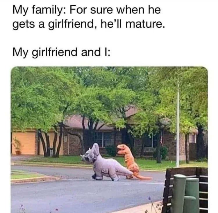 WholesomeMemes tweet media