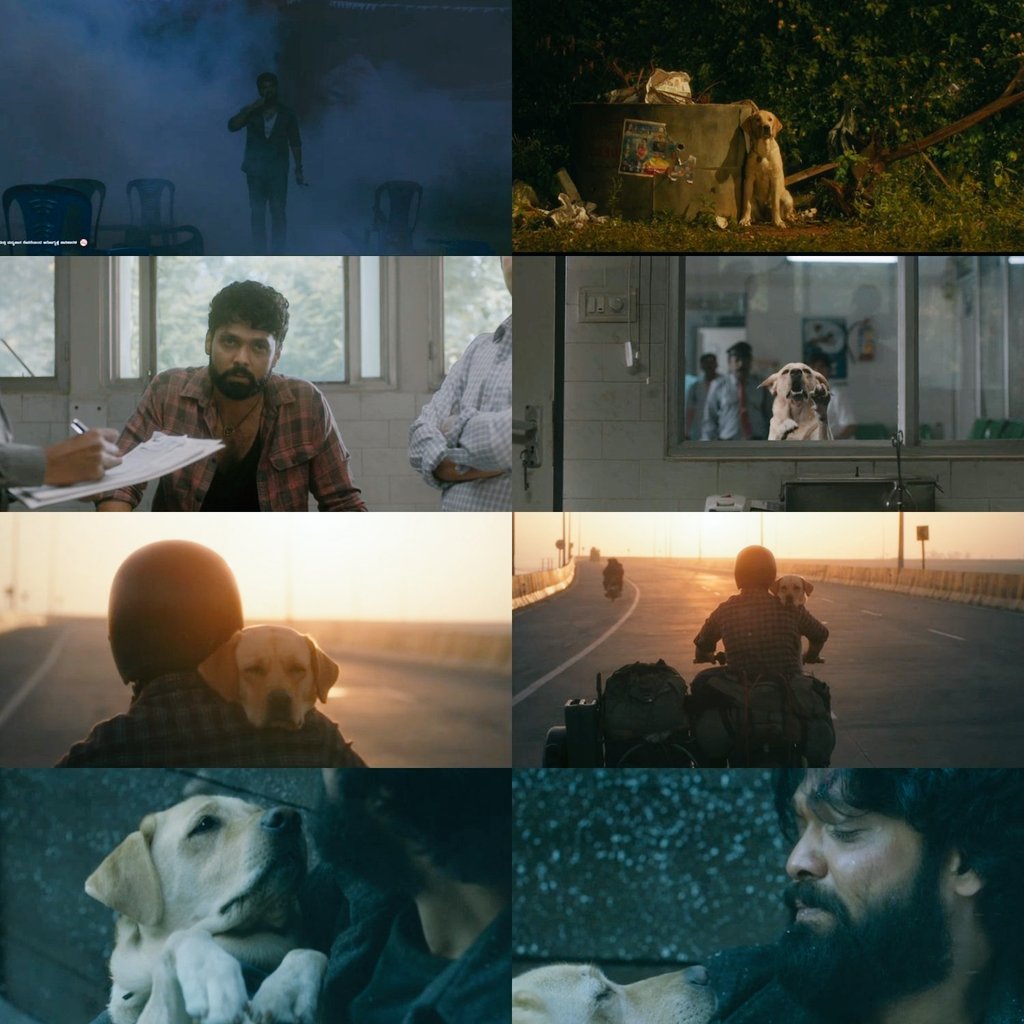 DonVindya's tweet photo. The must and best watch ♥️🥺! 
#Charlie777
Thanks to the @rakshitshetty and the entire team for making such a heartfelt emotional movie which gives a strong message to the mankind.

"If you're lucky a dog will come into your life, steal your heart and change everything." ♥️😭💯 https://t.co/e71zQTDCD7