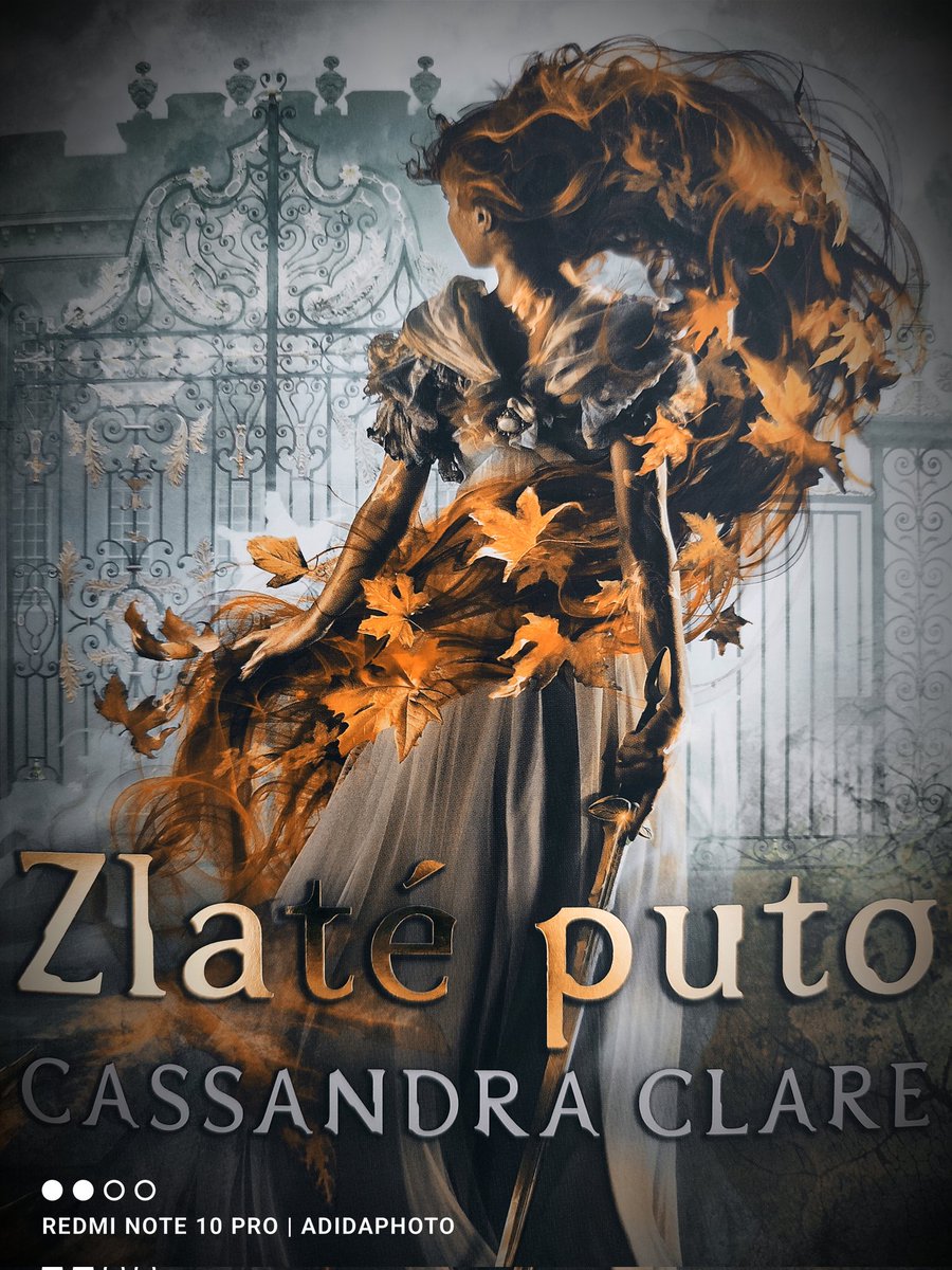 ATachova's tweet photo. #book #cassandraclare #slovakedition #thelasthoursseries #chainofgold https://t.co/M69l6tcg6j