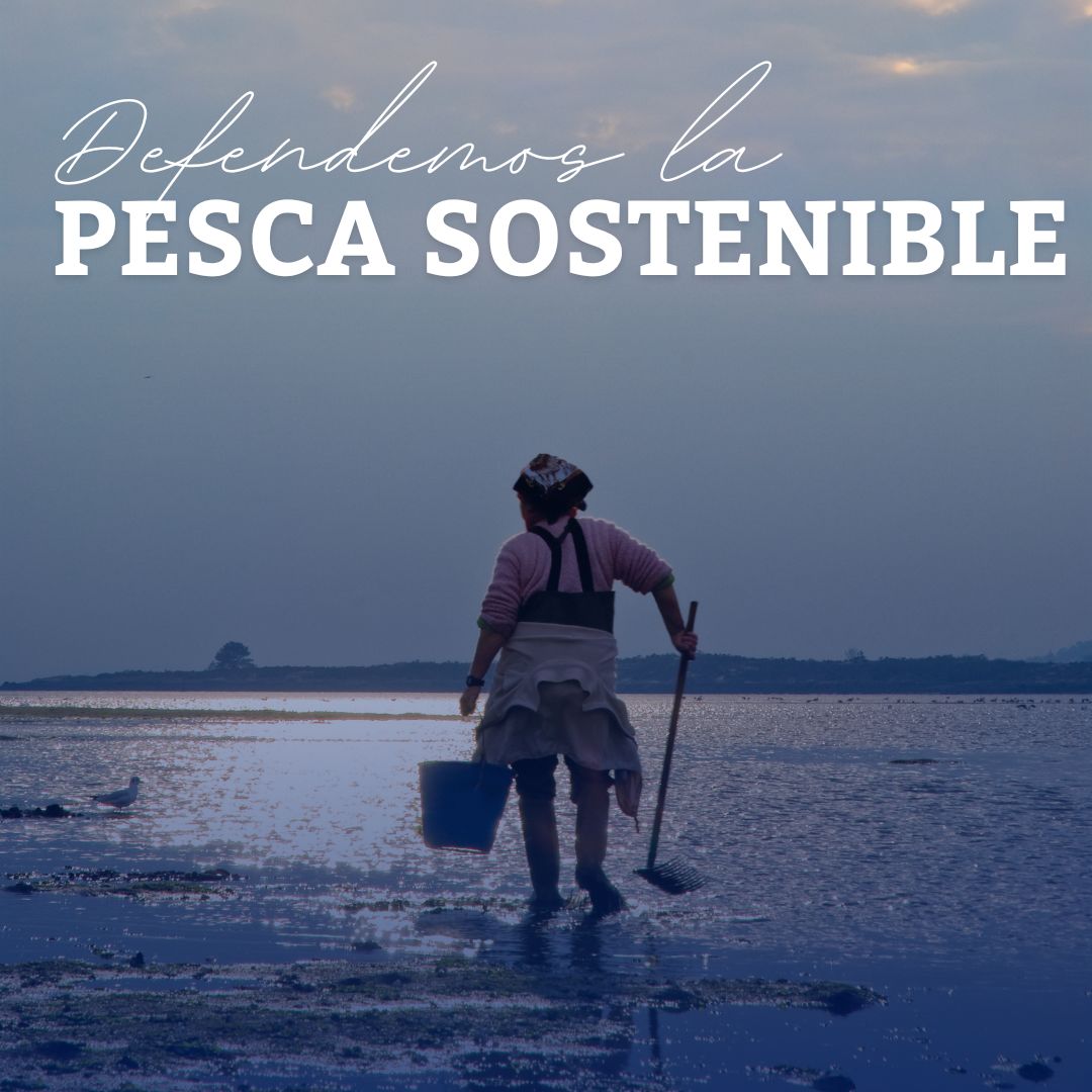 Le debemos al mar todo lo que nos regala y por ello garantizamos el futuro de la biodiversidad marina defendiendo métodos de pesca responsables y selectivos.