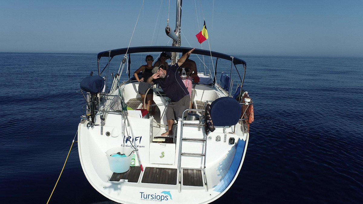 Tired but happy after 2 amazing weeks surveying for sperm whale social groups north of Menorca with @ATursiops (asociaciontursiops.org) - many groups encountered and lots of calves, a good news story for an endangered population! Now to try and get the area protected...