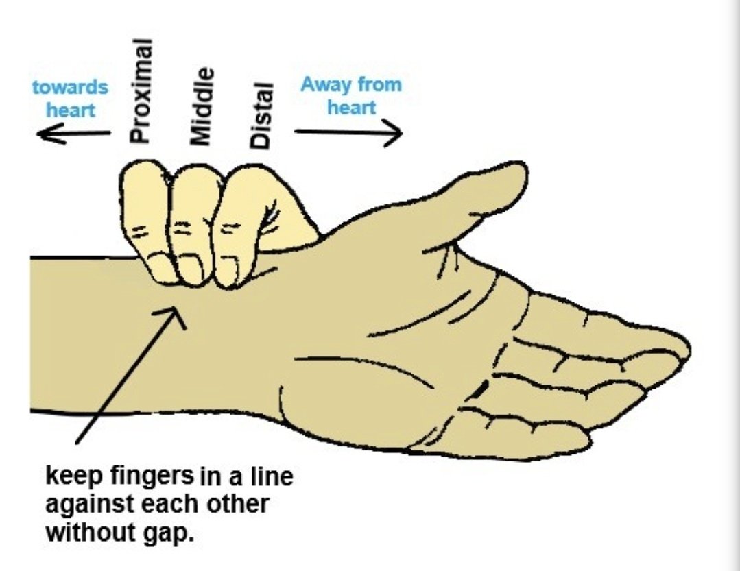NTE®️N🅰️L Ⓜ️edℹ©️ℹne on Twitter "GENERAL EXAMINATION PULSE Method of palpation of radial artery