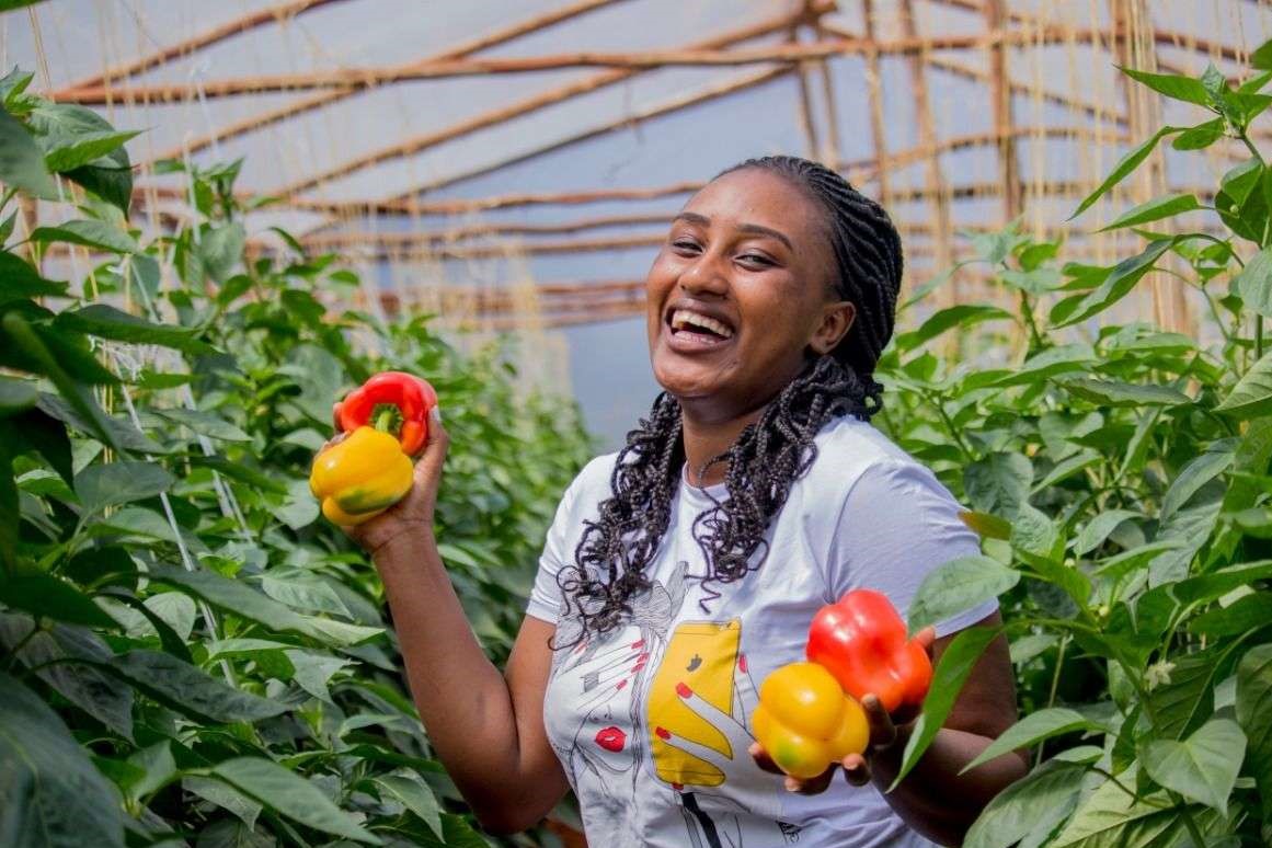 femagaz's tweet photo. Economy of African countries will boosted by Agriculture. 
Do you Agree? https://t.co/JbPlRqSmq7
