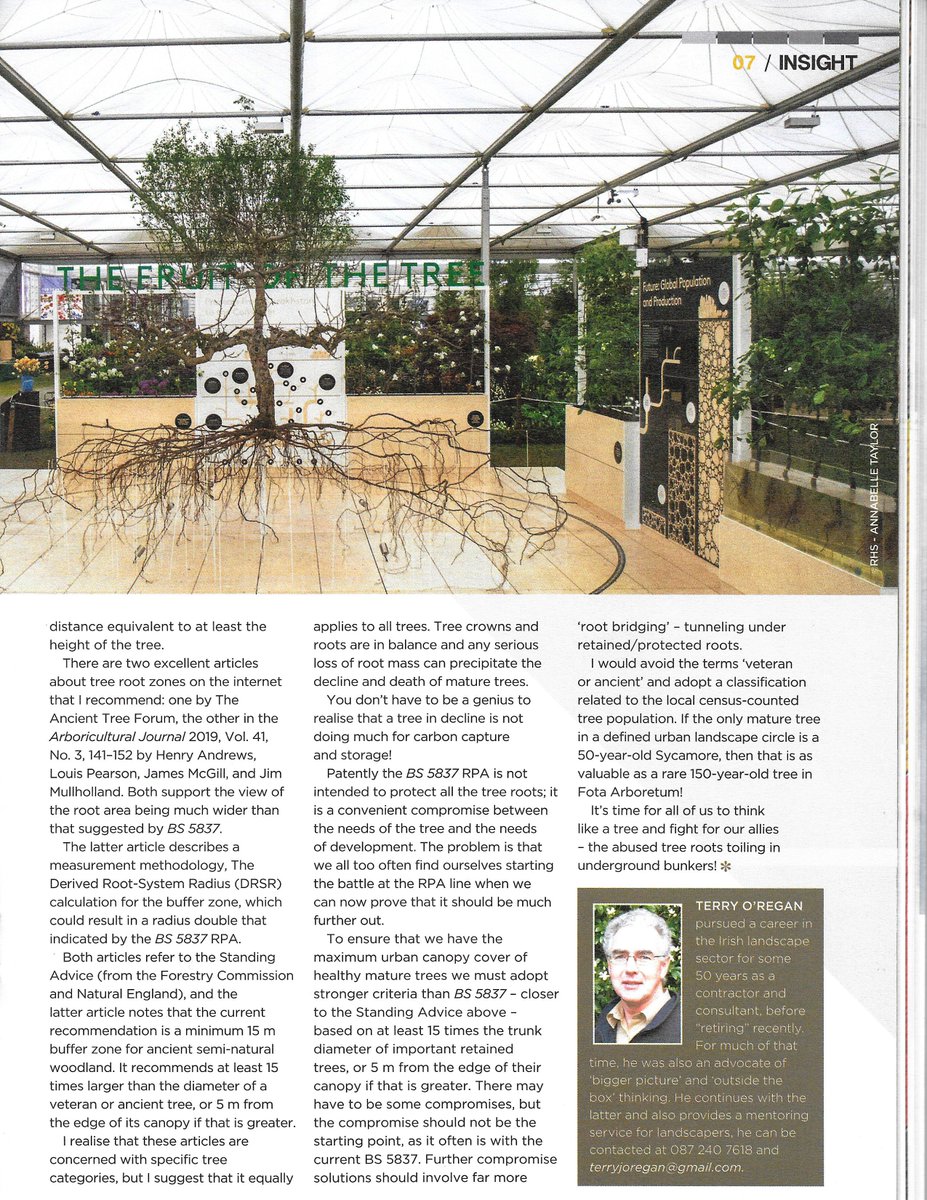 CiaranCuffe's tweet photo. Lovely piece by landscape horticulturist Terry O'Regan on giving adequate space for trees in our urban landscapes #GreenInfrastructure https://t.co/rWAh5maEK4