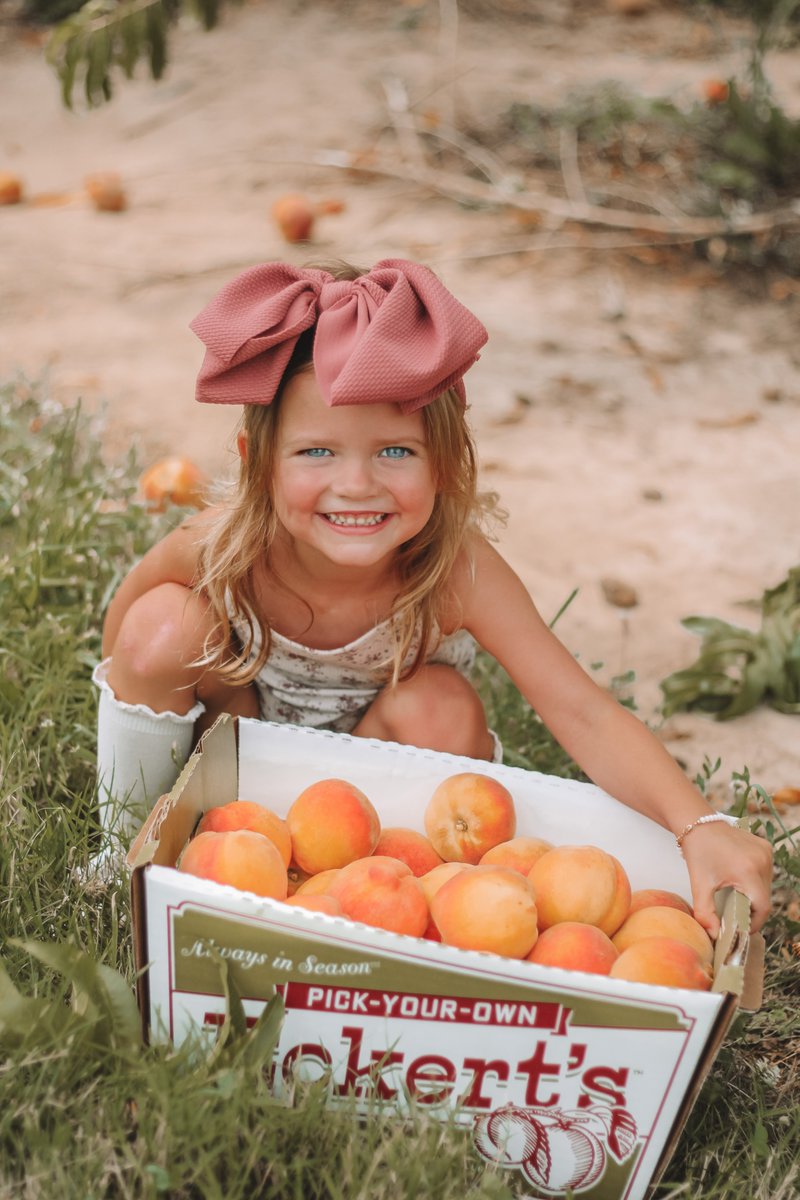 🍑 99¢/LB Peaches 🍑

Don't miss the BIGGEST sale of the Season. Head out to our orchard this week to enjoy our peaches for ONLY 99¢/lb. This deal is valid for Pick-Your-Own Peaches as well as peaches sold loose in our Country Store.

Valid 8/2 - 8/7 at our Versailles Orchard