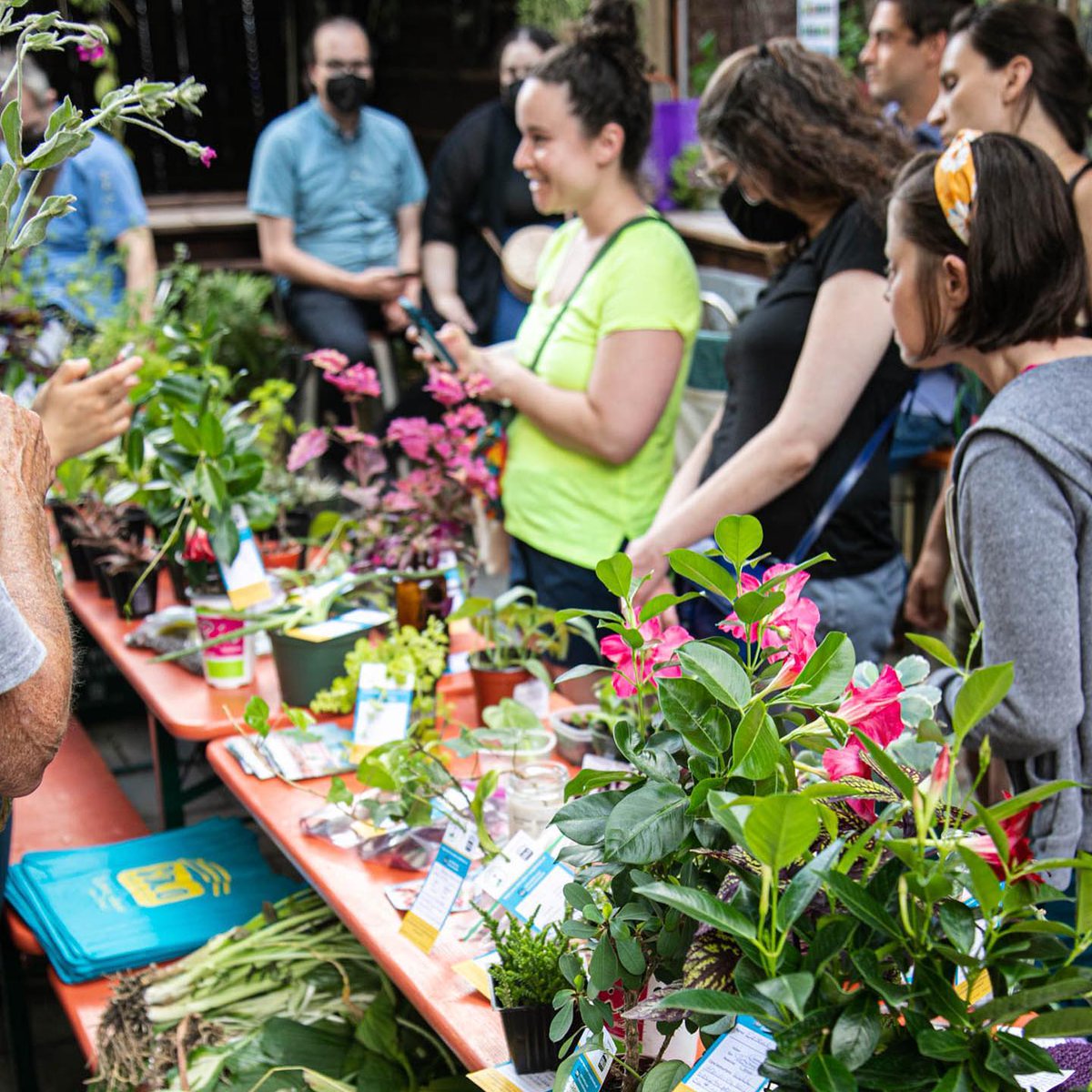 SoloRealEstate's tweet photo. Join us TONIGHT from 6-8pm for the August #plantswap at @PHSgardening's Pop-Up Garden on South Street &amp; be sure to snap a photo of your new plant or cutting! 🪴🌻🌿 https://t.co/0461QDrROJ