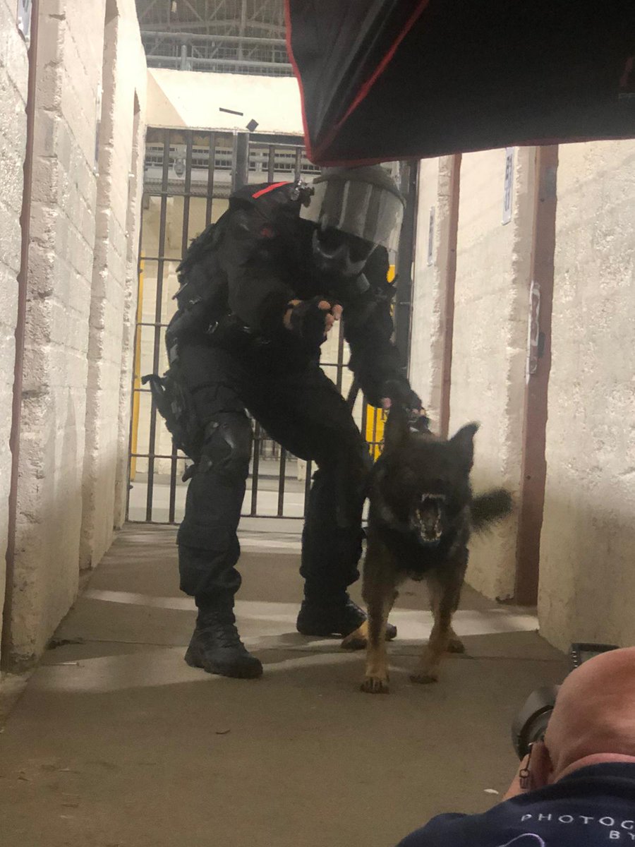 DogsHmpps's tweet photo. Here's another look behind the scenes of the @The_NFRSA calendar photo shoot with #NDTSG. PD Drax and his Dad showing their angry side to @byGerrySlade. Can't for the Calendar release!
#K9 #WorkingDogs #PrisonDogs #NFRSA #NCTAS #HMPS https://t.co/DSFLzHVaMF